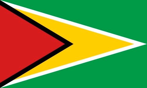 500px-Flag_of_Guyana.svg.png